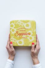 Load image into Gallery viewer, Embroidery Starter Kit Sewing Tin