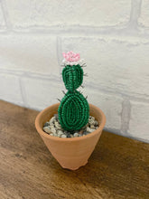 Load image into Gallery viewer, Spiky Cactus Plant Beaded Craft Kit - A creative gift idea