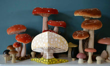 Load image into Gallery viewer, Spring mushroom card