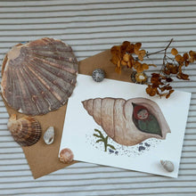 Load image into Gallery viewer, Shell Baby Greetings card