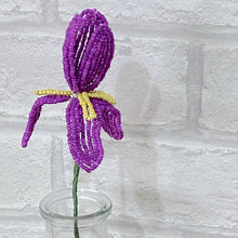 Load image into Gallery viewer, Iris Flower Bead Craft Kit -A creative gift idea.