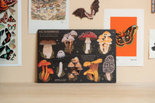 Load image into Gallery viewer, MUSHROOMS OF THE BRITISH ISLES WOODEN GARLAND