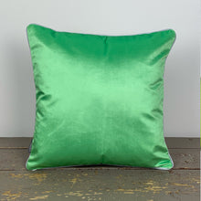 Load image into Gallery viewer, Avocado Velvet Cushion