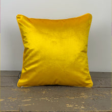 Load image into Gallery viewer, Ochre Fuchsia Velvet Cushion