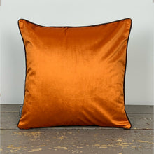 Load image into Gallery viewer, White Conker Velvet Cushion