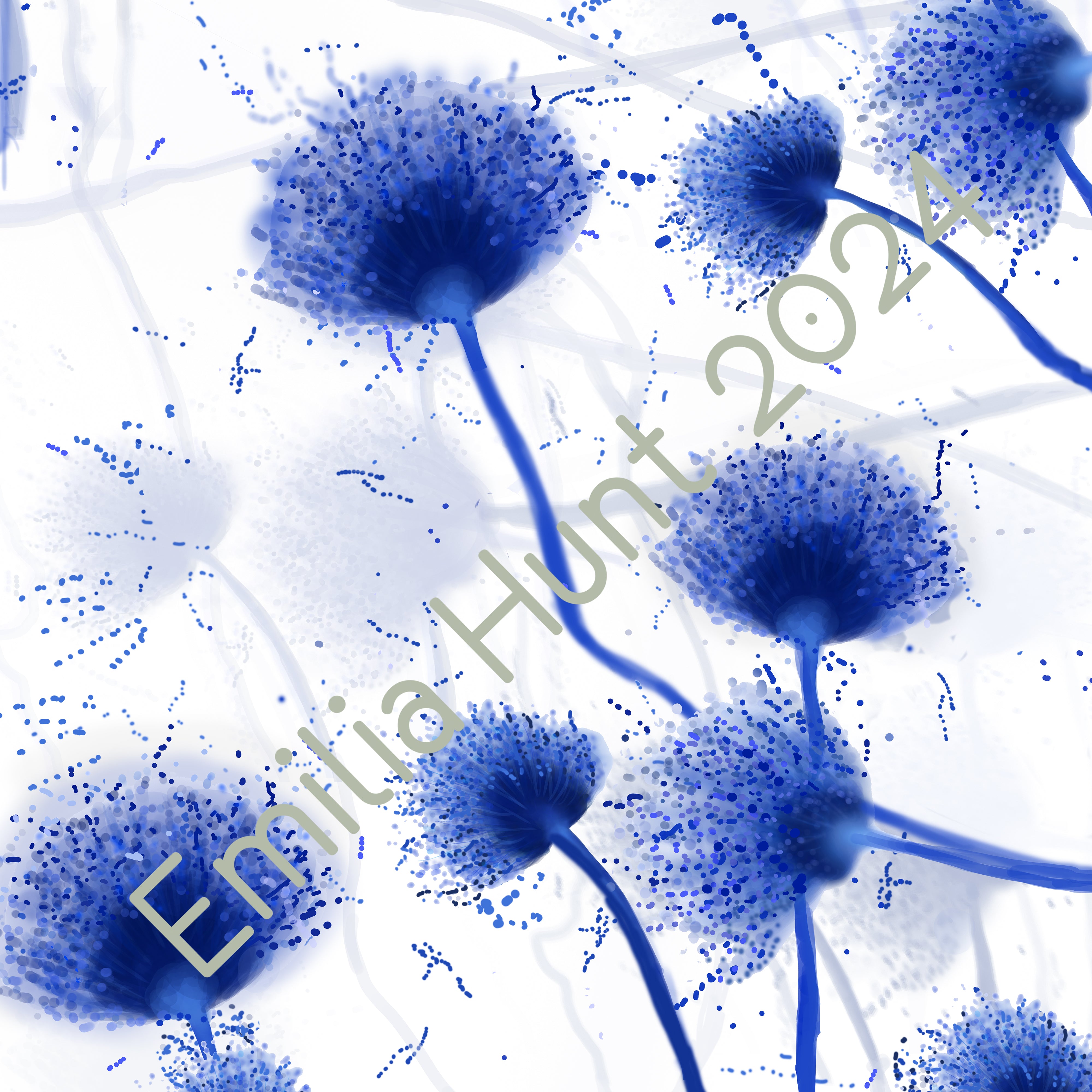 Scatter – Emilia Hunt