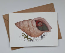 Load image into Gallery viewer, Shell Baby Greetings card
