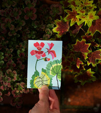 Load image into Gallery viewer, Geranium Mini Card Pack of 8
