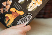 Load image into Gallery viewer, MUSHROOMS OF THE BRITISH ISLES WOODEN GARLAND
