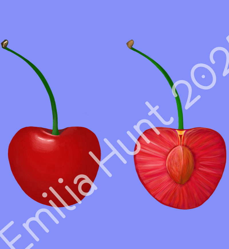 Cherry Aga Cover - Pre order