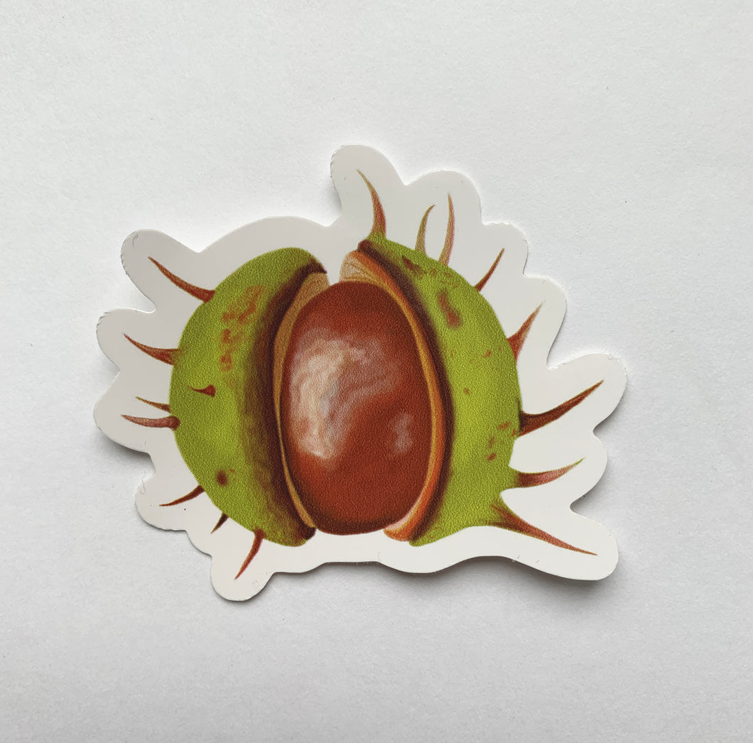 Conker sticker