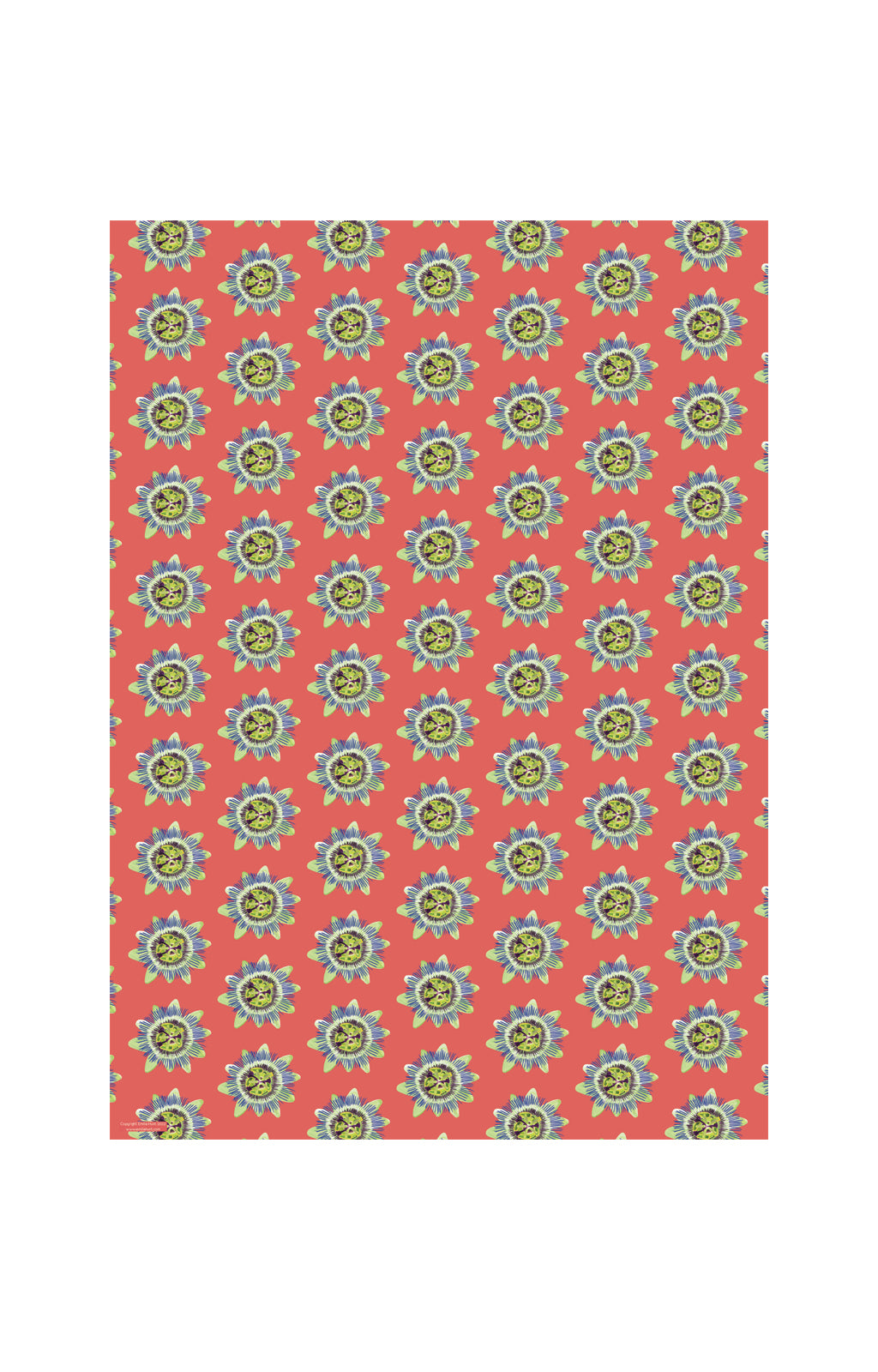 Coral Passion Flower Gift Wrap