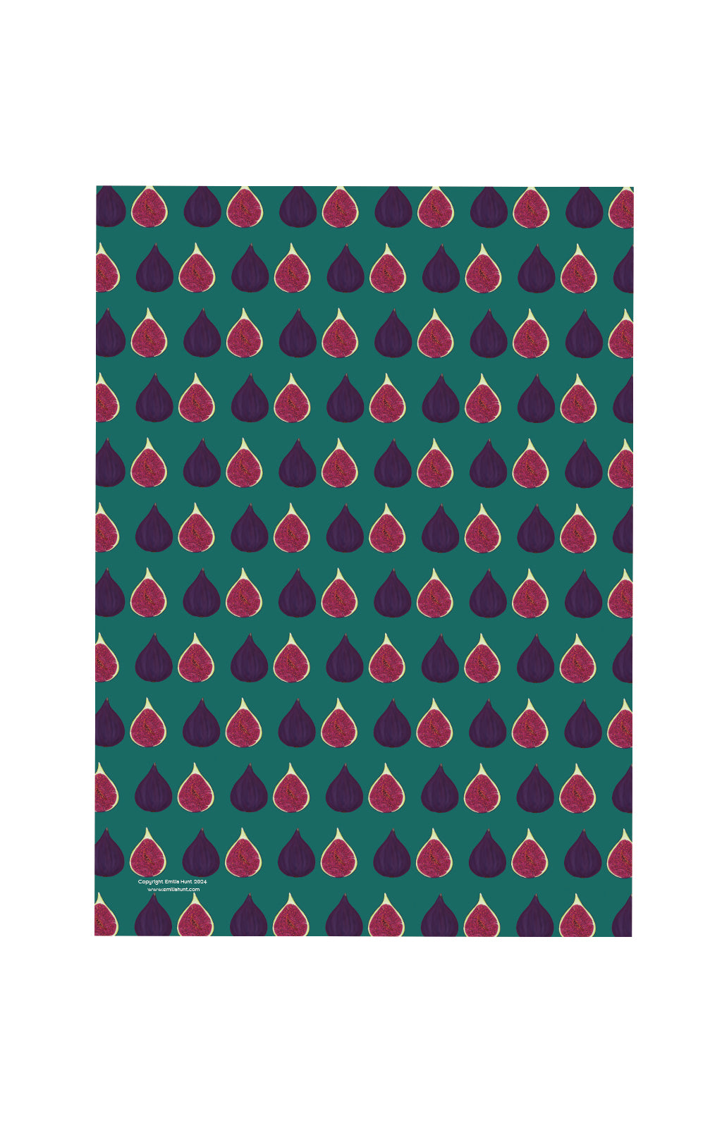 Fig Gift Wrap