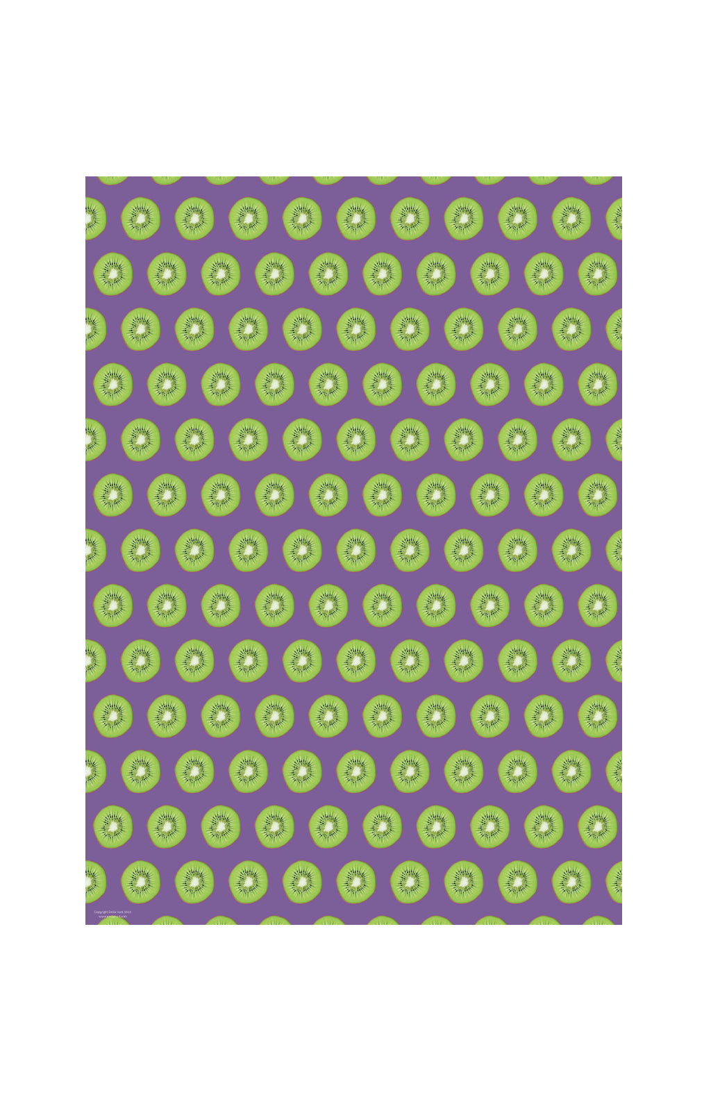 Kiwi Gift Wrap