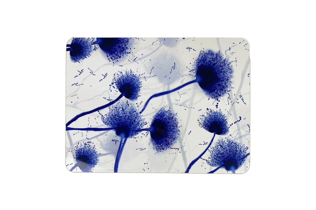 Scatter Placemat