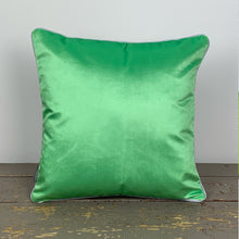 Load image into Gallery viewer, Avocado Velvet Cushion
