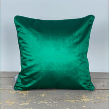 Load image into Gallery viewer, Green Conker Velvet Cushion
