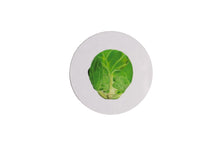 Load image into Gallery viewer, Set of Four White Sprout Coasters
