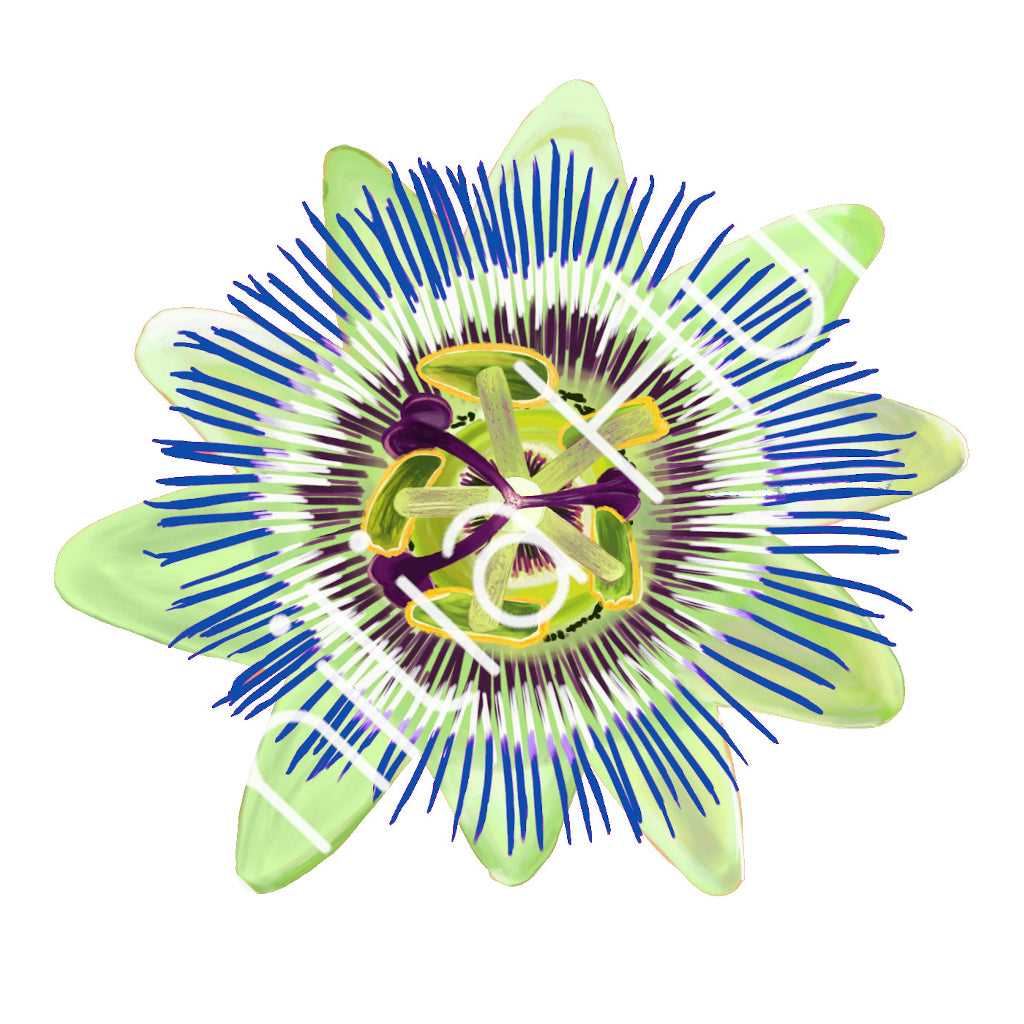 White Passion Flower Cotton Fabric - Heavy